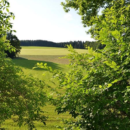 Das Ferienhaus Mondschein Im Land Der Tausend Berge - Erholung Pur In Idyllischer Alleinlage 레네슈타트 외부 사진