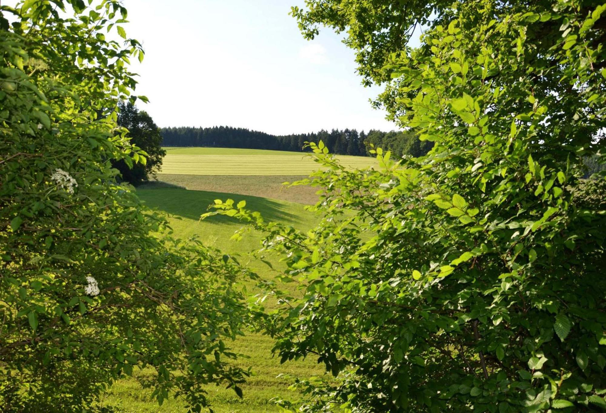 Das Ferienhaus Mondschein Im Land Der Tausend Berge - Erholung Pur In Idyllischer Alleinlage 레네슈타트 외부 사진